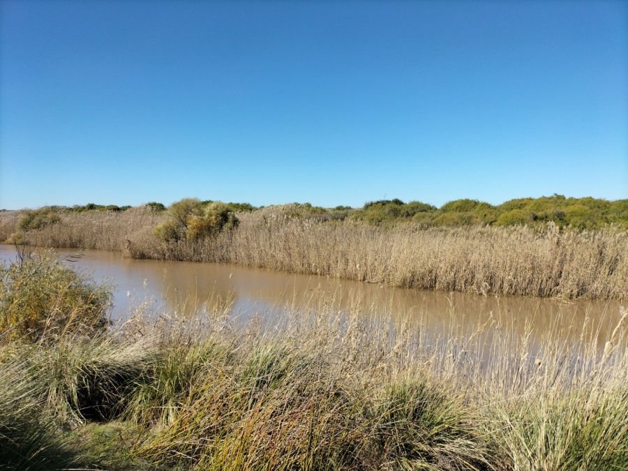 4 Bedroom Property for Sale in Bloemfontein Rural Free State
